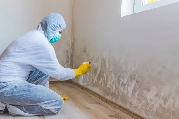Licensed Mold Testing service in Howard, PA - WQB Mold Removal