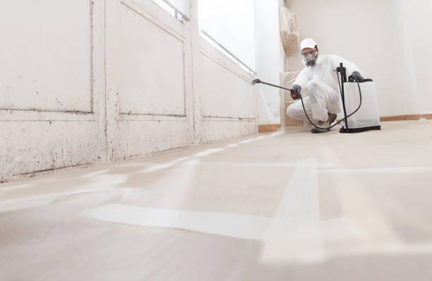 24/7 Emergency Mold Testing experts in Howard, PA