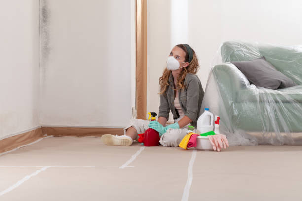 Trusted Mold Testing service in Howard, PA - WQB Mold Removal