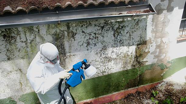 Top rated local Mold Testing specialists in Howard, PA